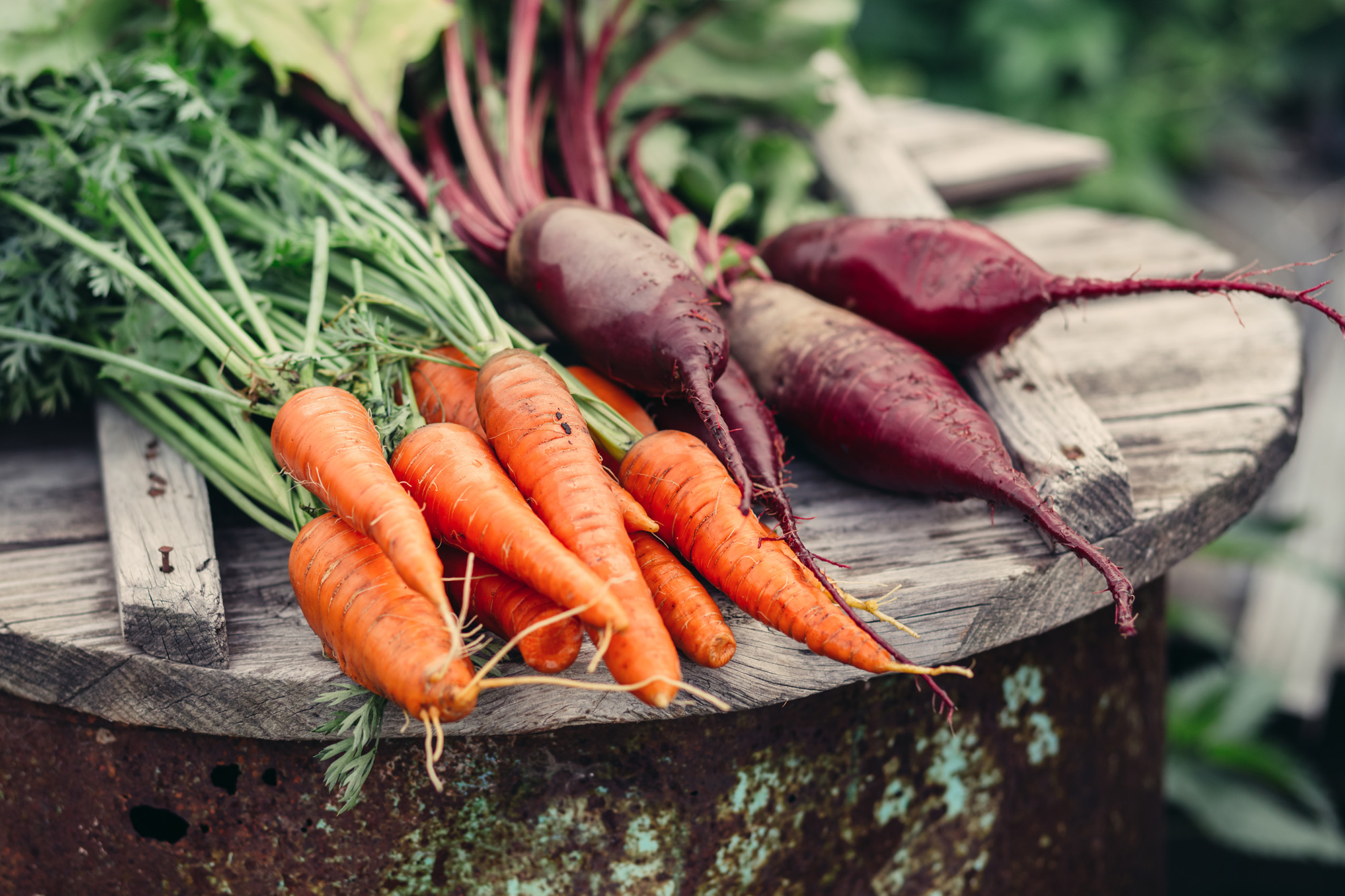 Meet Your Farmer: Living Water Farms