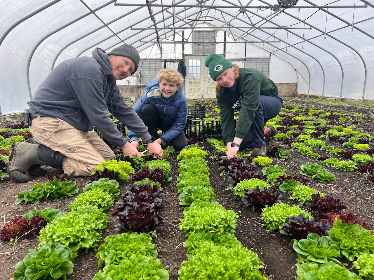 Photo Of Farm Crew In Hoophouse Harvesting Winter Lettuce