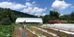 Little Hat Creek Farm: Connection Forged Through Food