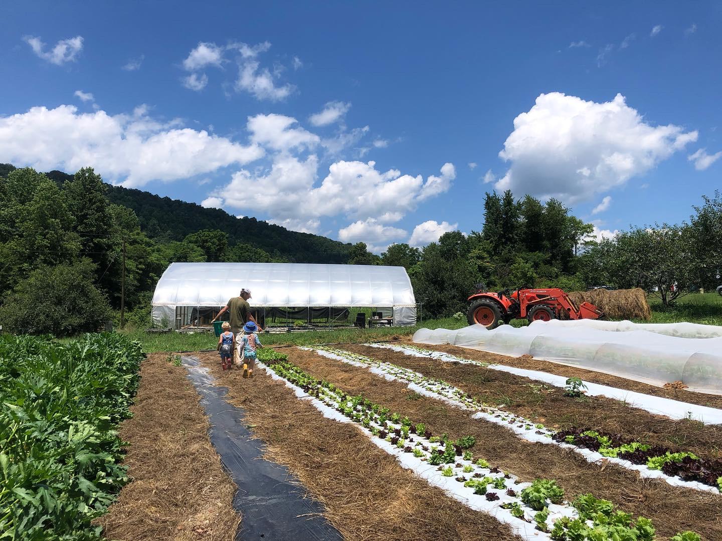 Little Hat Creek Farm: Connection Forged Through Food